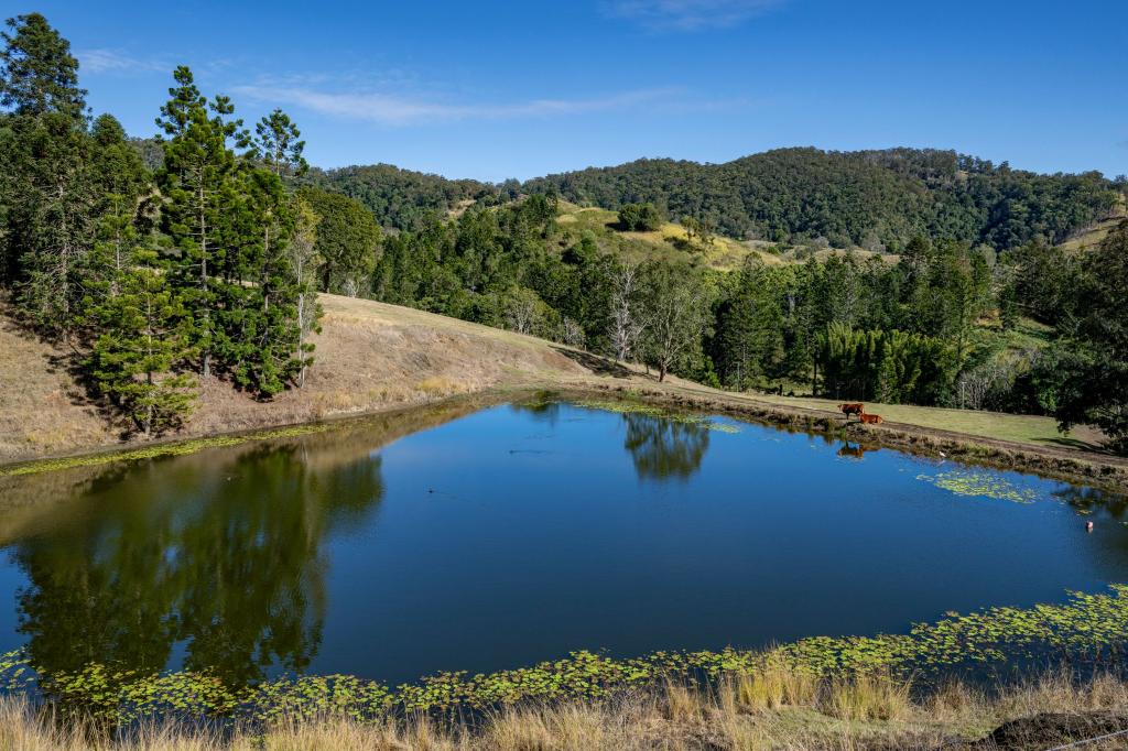 119 Perrys Rd, Kidaman Creek, QLD 4574