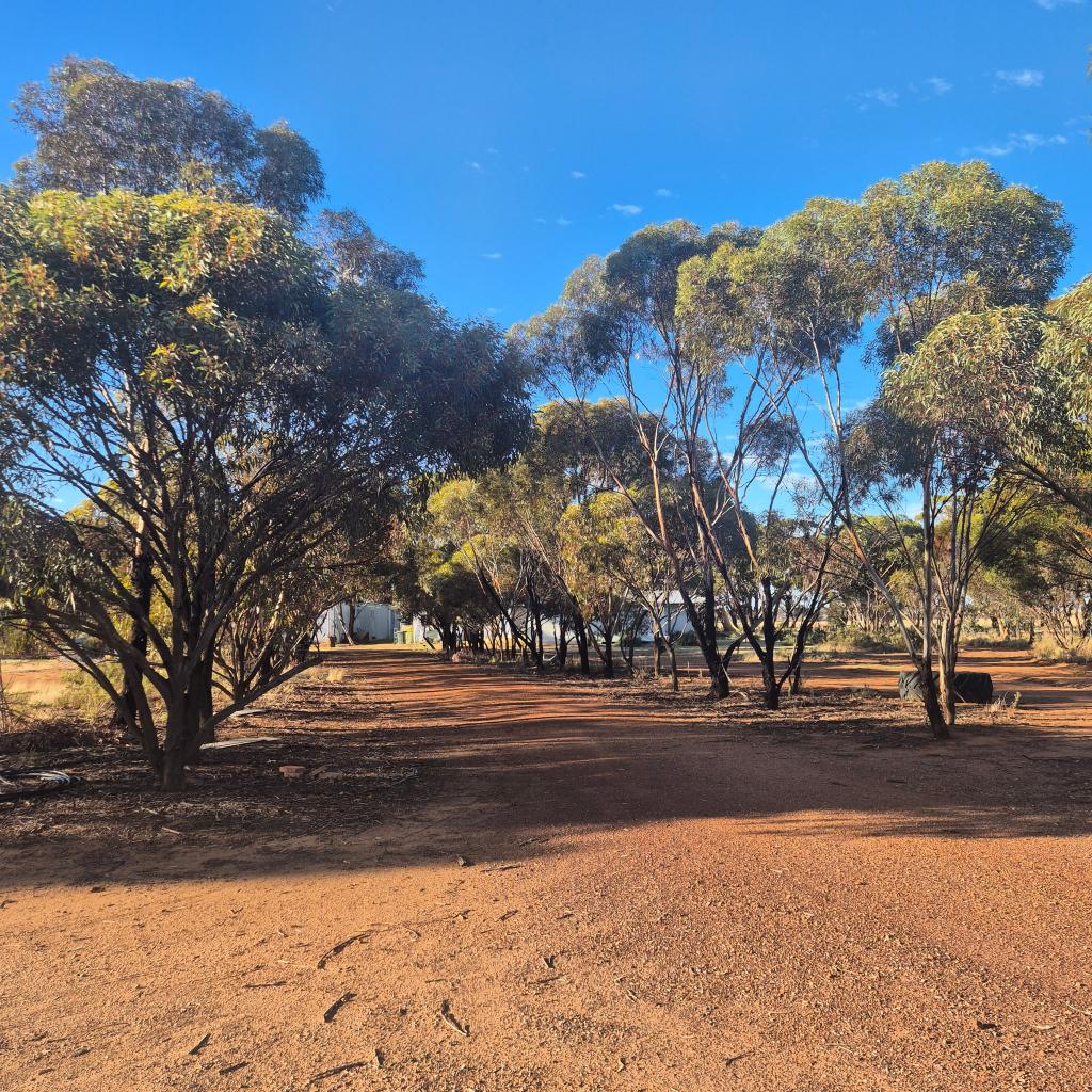 8 Cook St, Kondinin, WA 6367