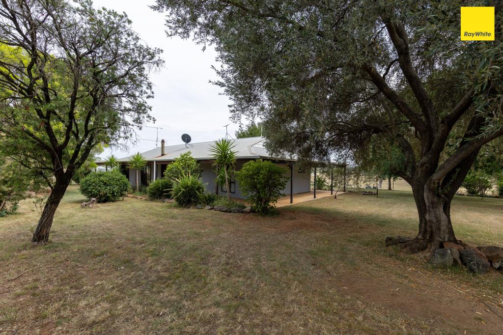 4213 Elcombe Rd, Bingara, NSW 2404