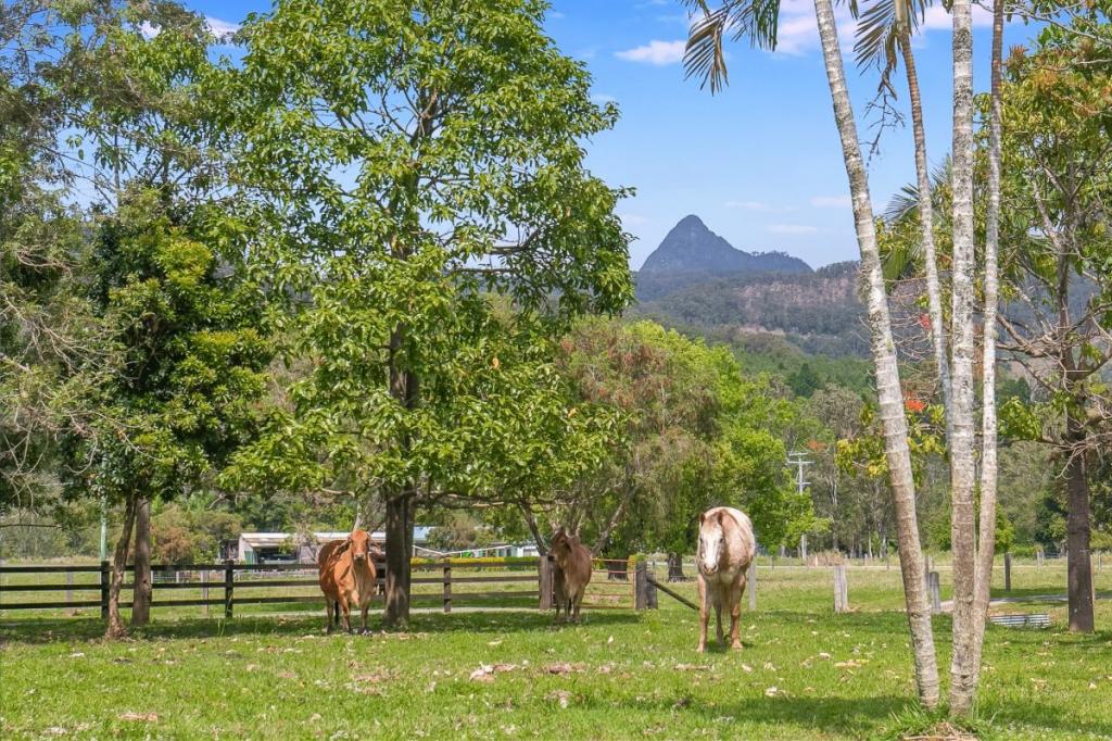 18 Everests Rd, Eungella, NSW 2484