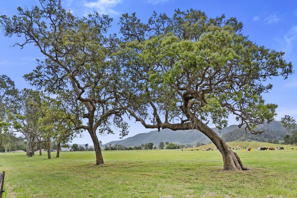 2170 Maleny   Kenilworth Rd, Conondale, QLD 4552