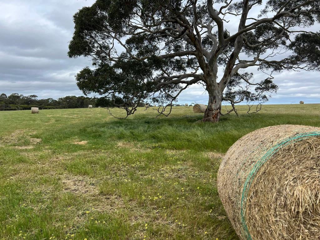 490 East West Two Hwy, Seddon, SA 5223