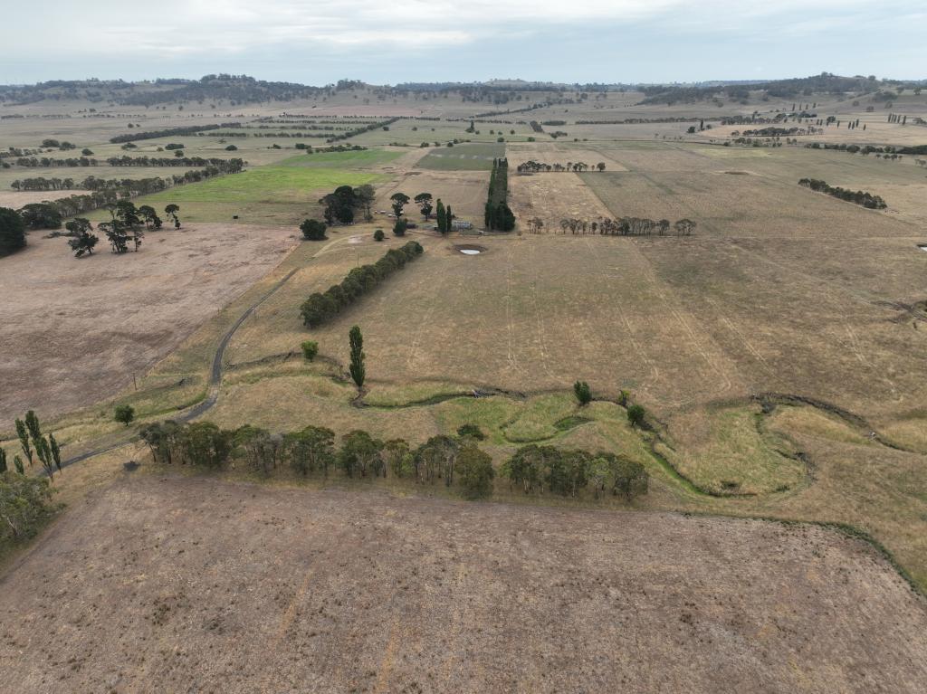 638 Furracabad Rd, Glen Innes, NSW 2370