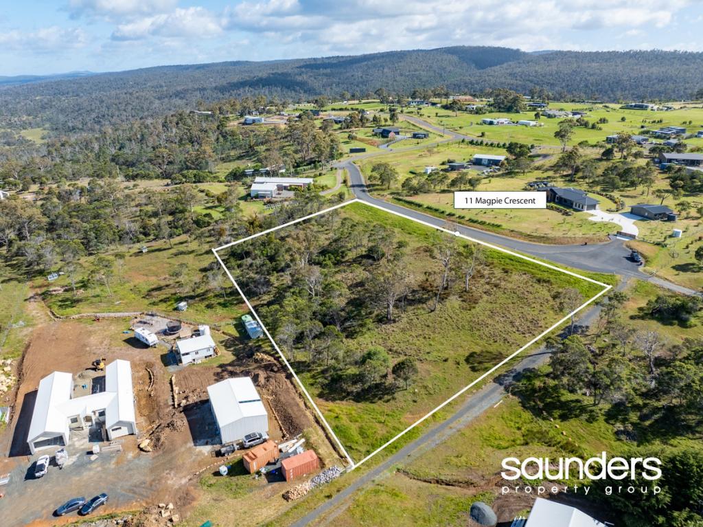 11 MAGPIE CRES, ST LEONARDS, TAS 7250