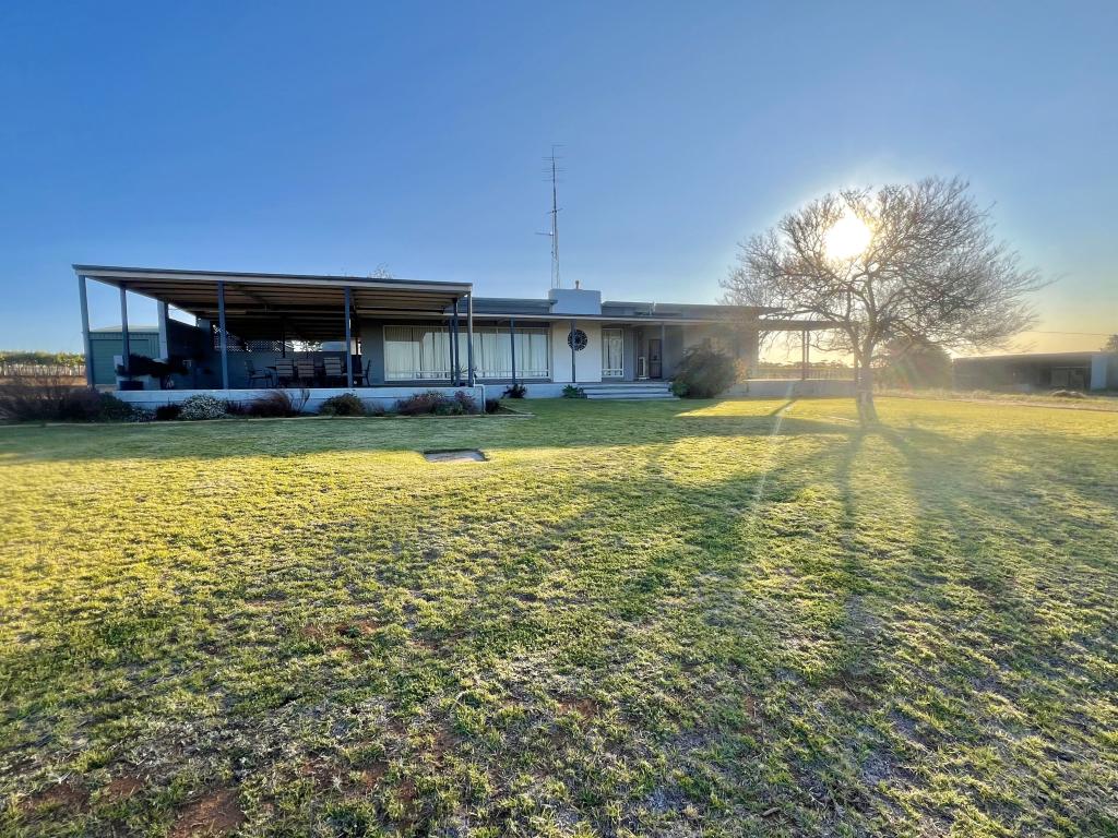 56 Costello Rd, Loveday, SA 5345