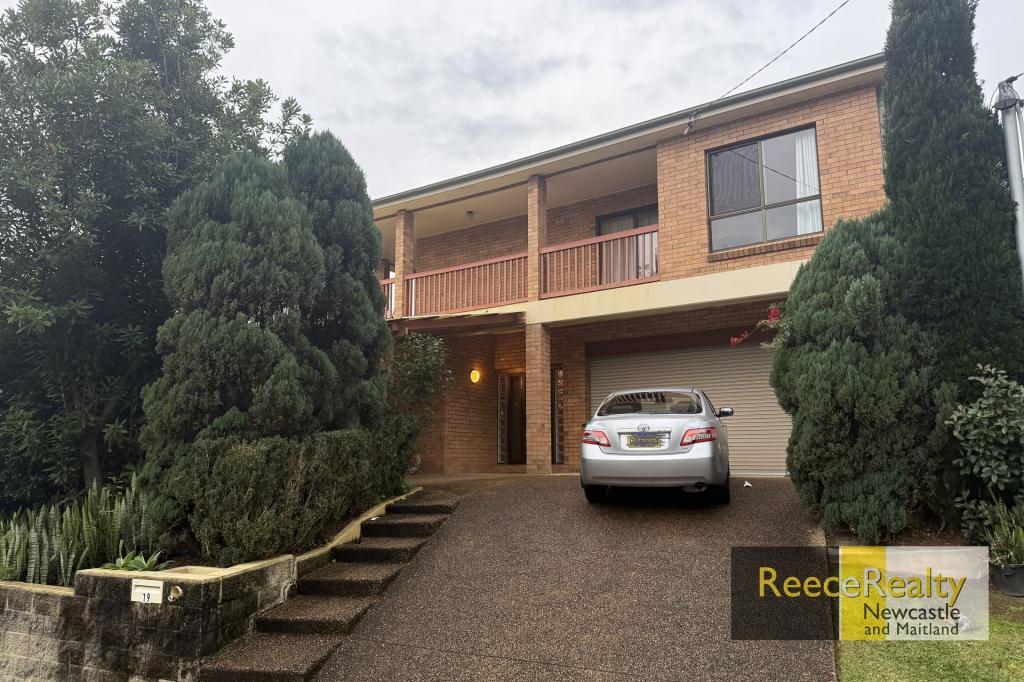 19 Faulkner Cres, North Lambton, NSW 2299