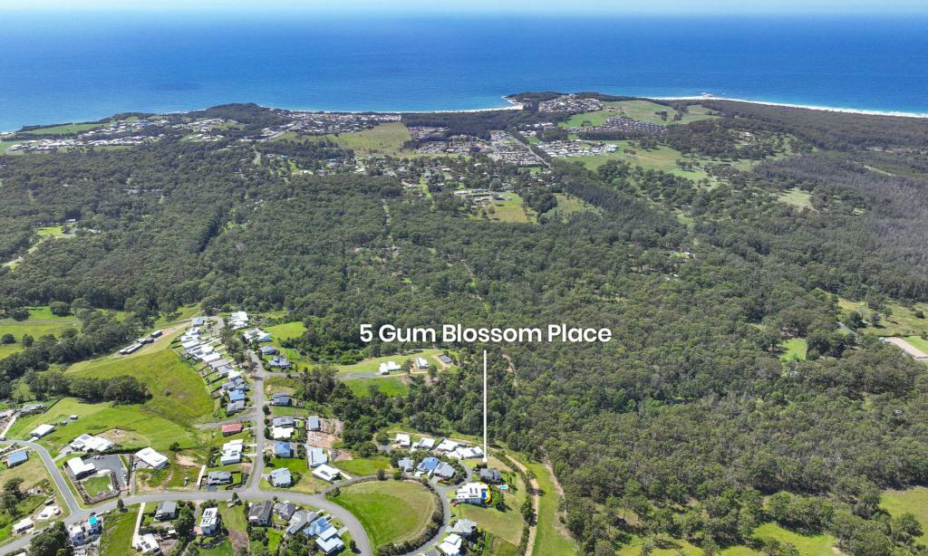 5 Gum Blossom Pl, Tallwoods Village, NSW 2430