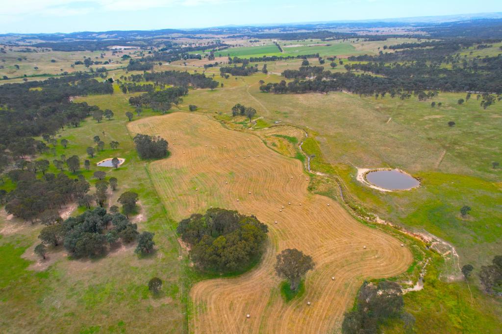 1 Little Plains Rd, Blakney Creek, NSW 2581