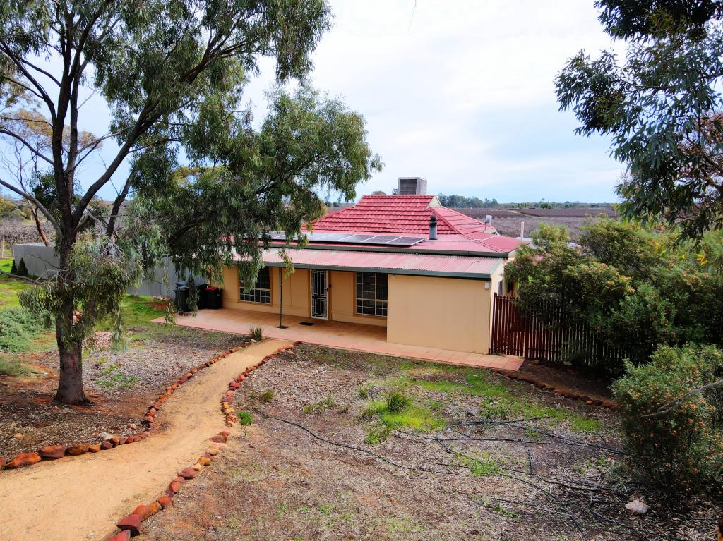 442 DALZIEL RD, WINKIE, SA 5343