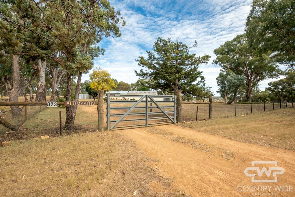 873 Polhill Rd, Wellingrove, NSW 2370