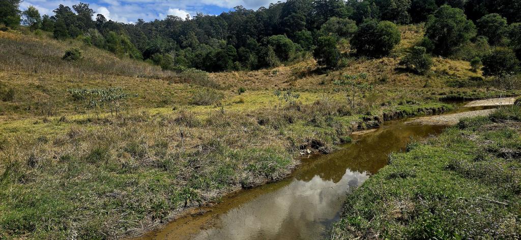 Lot 1066 Sheet O'Bark Rd, Burrapine, NSW 2447