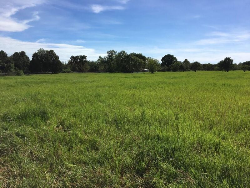 Lot 5111/79 Freds Pass Rd, Humpty Doo, NT 0836
