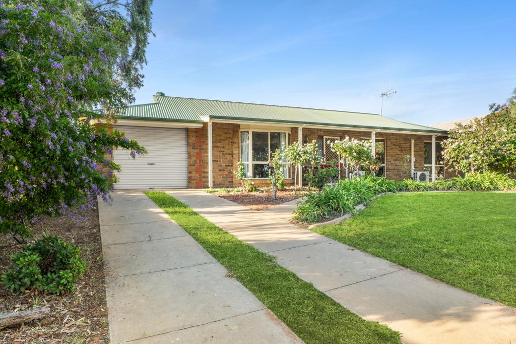 55 Hughes Ave, Paringa, SA 5340