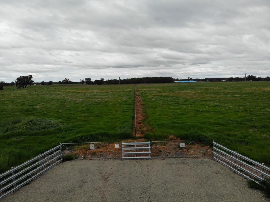 Lot 9/306 Whitehead St, Corowa, NSW 2646