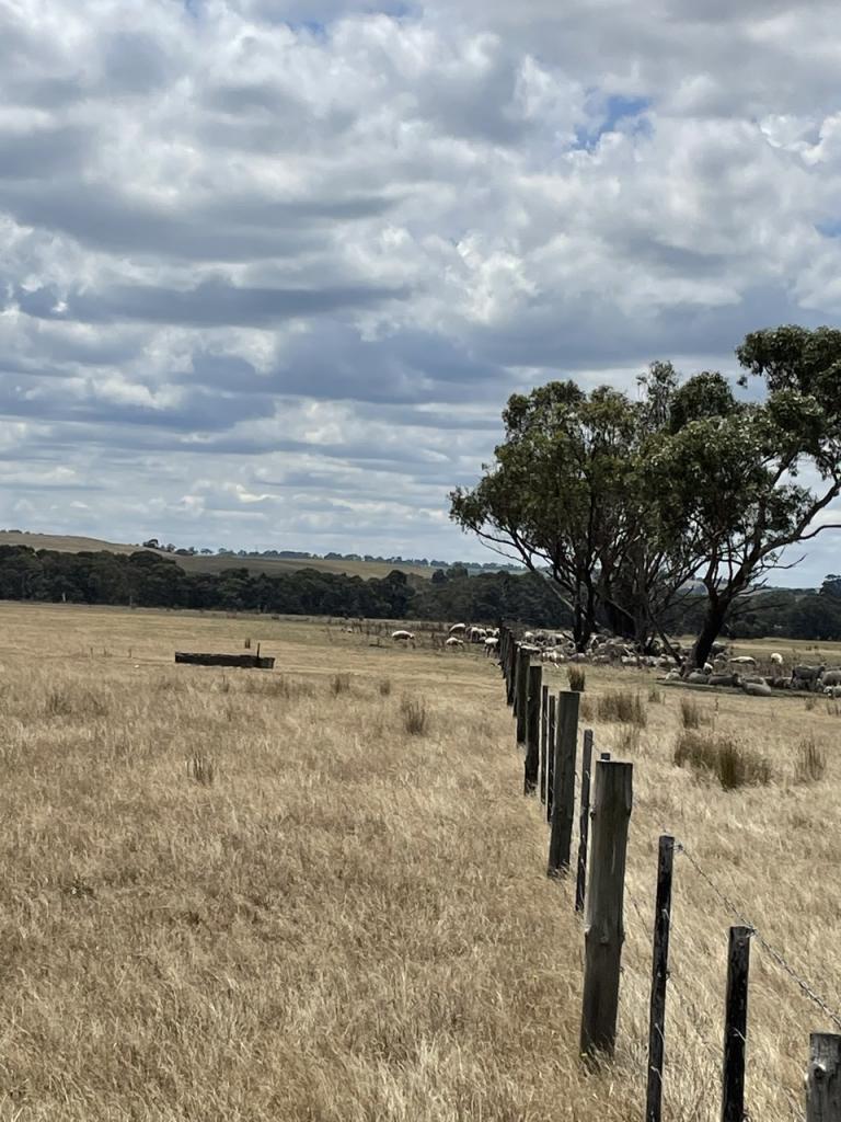  Nolans Rd, Henty, VIC 3312