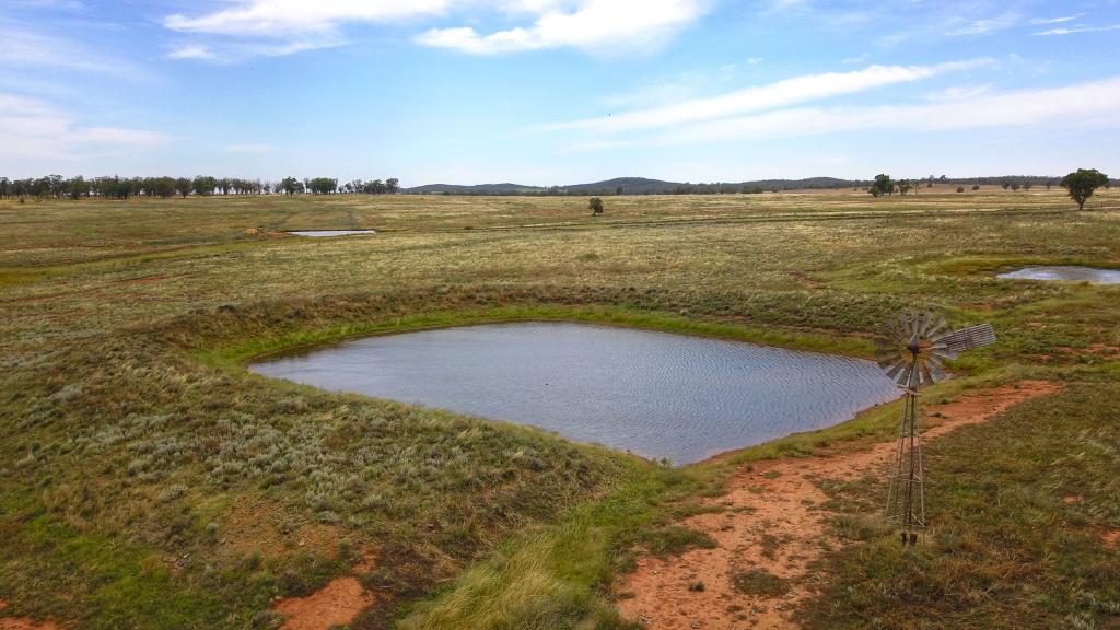 Fermoy 9286 The Bogan Way, Tullamore, NSW 2874