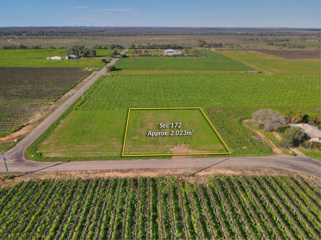 Sec 172 Currawong St, Renmark, SA 5341