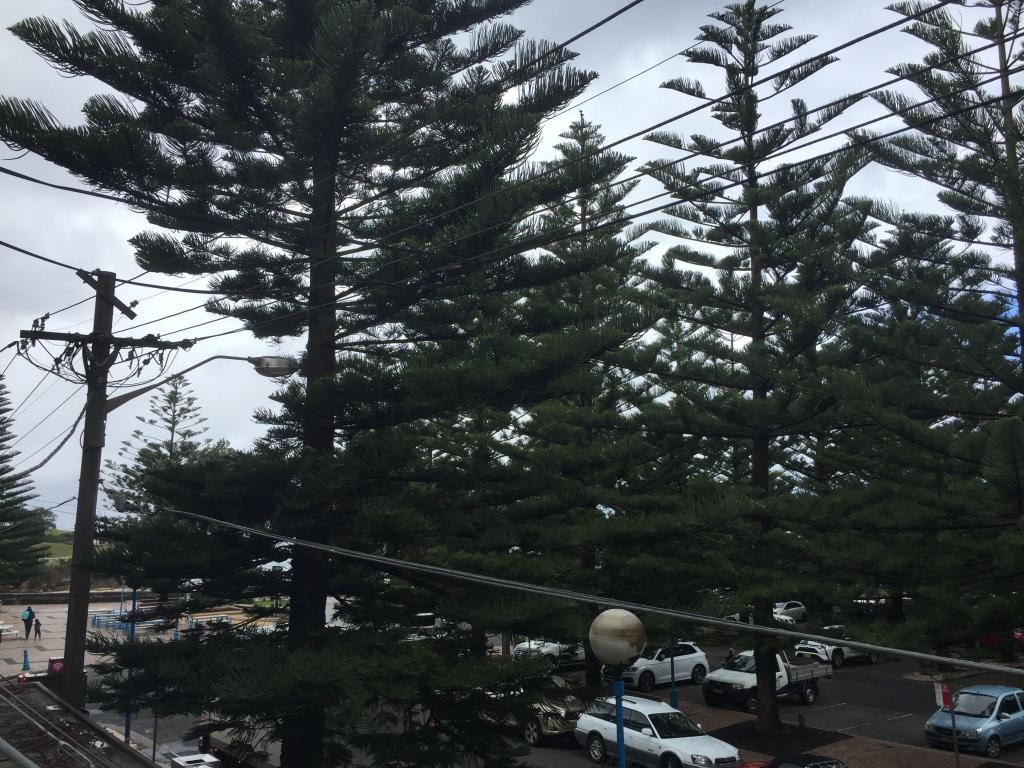 1/145 Dolphin St, Coogee, NSW 2034