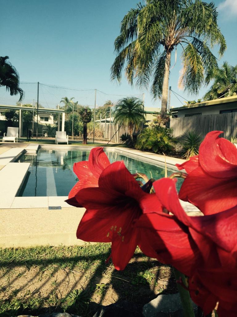 1 Spa/15 Pacific Dr, Blacks Beach, QLD 4740