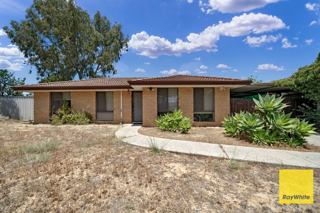 1 Chestnut Gr, Mirrabooka, WA 6061