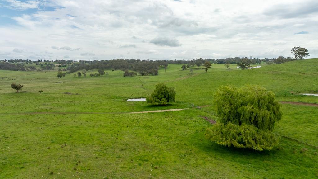 75 Blush Rd, Guyra, NSW 2365