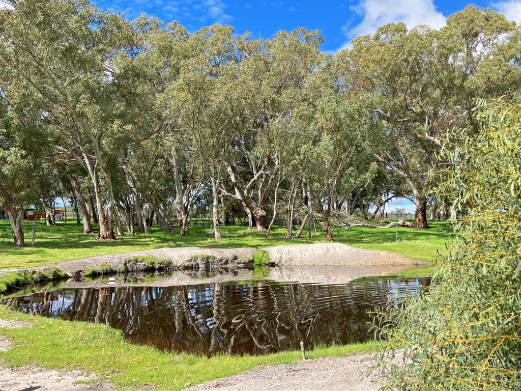 Contact Agent For Address, Eneabba, WA 6518