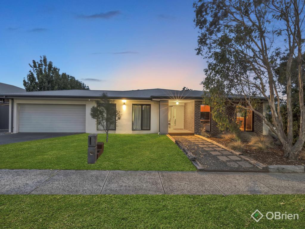 4 APPLETREE RISE, BOTANIC RIDGE, VIC 3977