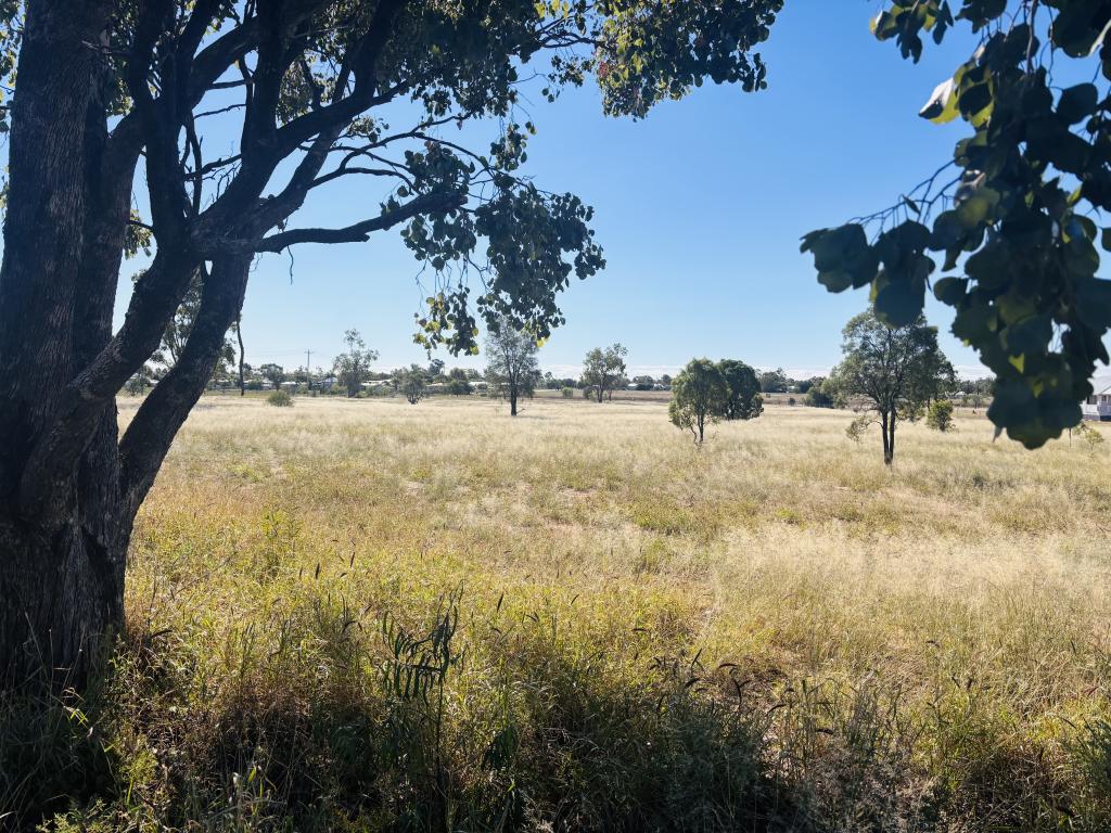 44 CORFE RD, ROMA, QLD 4455