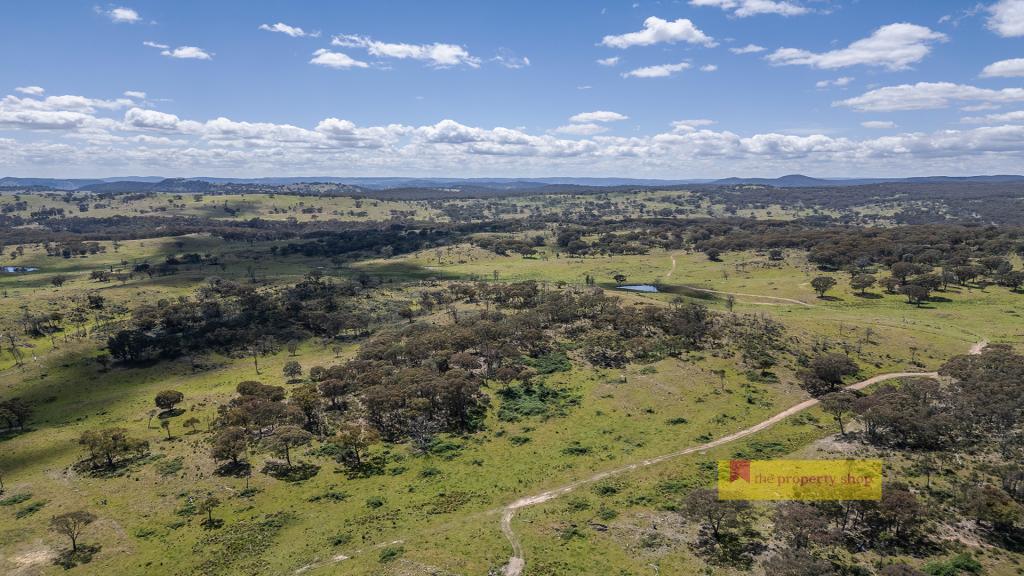 479 Wallawaugh Rd, Hargraves, NSW 2850