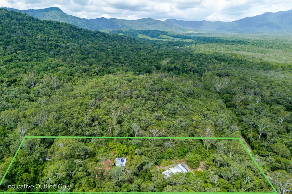 59-101 Quandong Road, Cow Bay, Daintree, QLD 4873