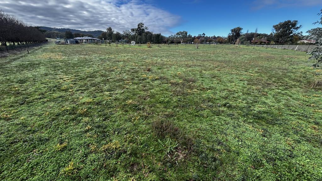 153 Martins Lane, Piallamore, NSW 2340