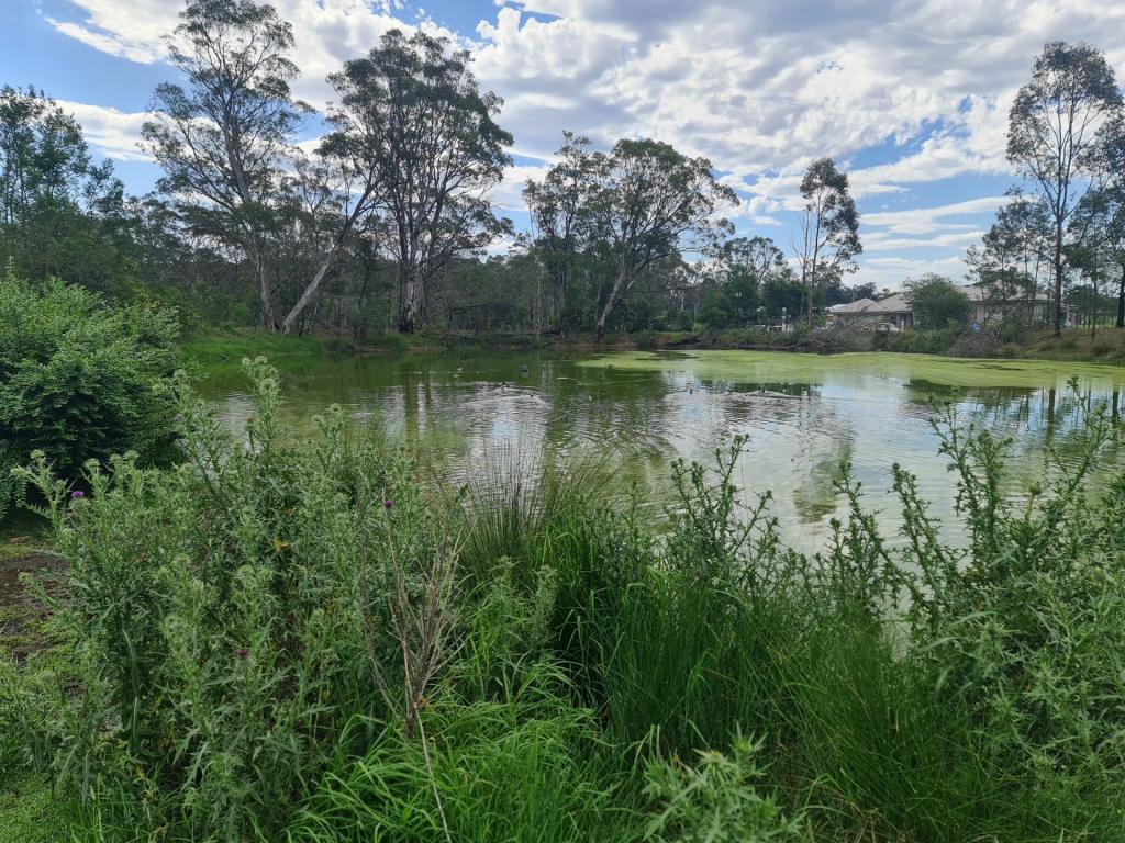 Contact Agent For Address, Tahmoor, NSW 2573