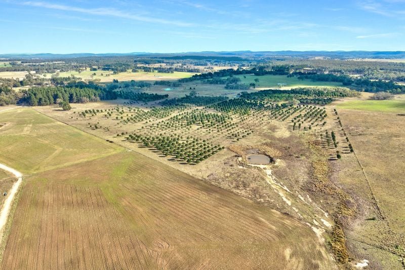 609 Jacqua Rd, Windellama, NSW 2580
