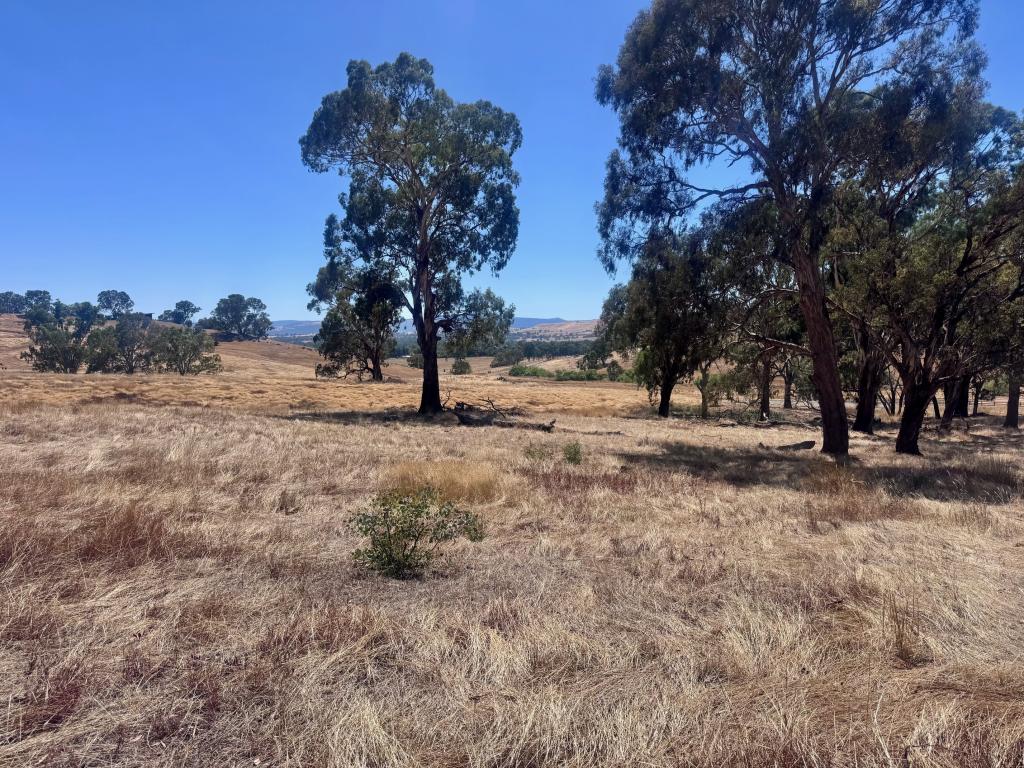 84 OWENS CREEK DR, MANSFIELD, VIC 3722