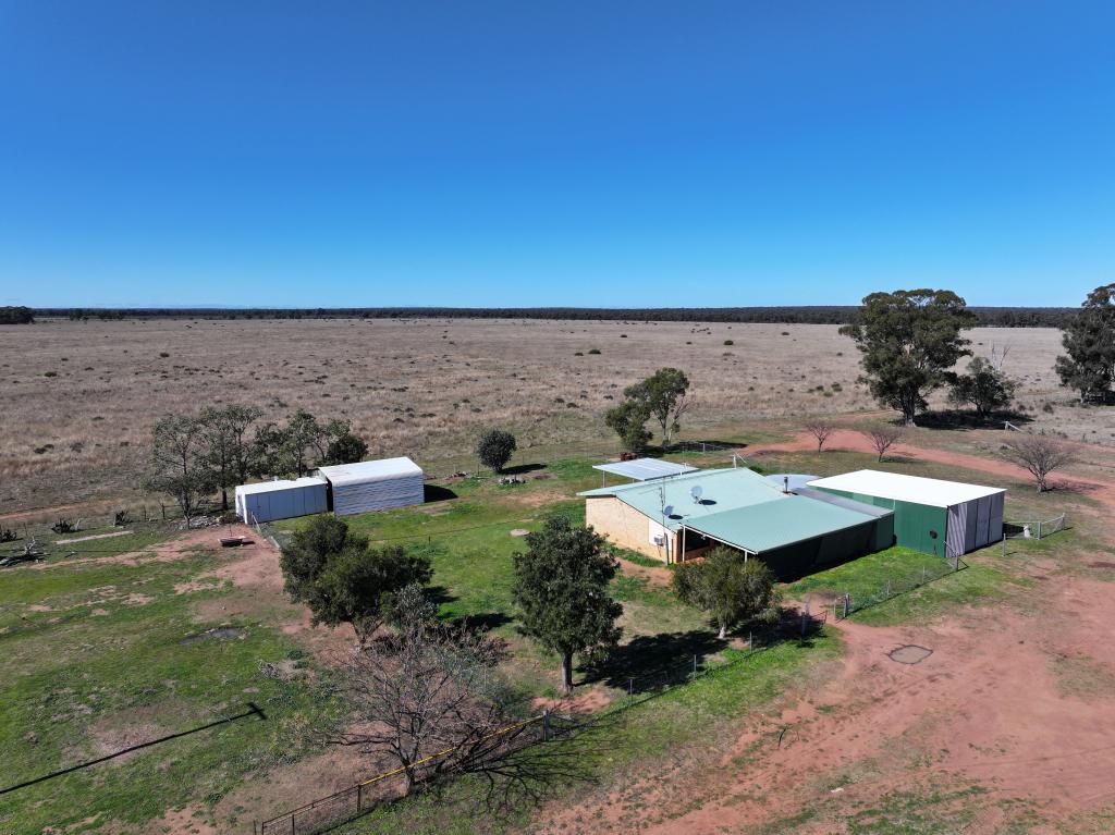 'Sonora Park' 50r Hains Road, Eumungerie, NSW 2822