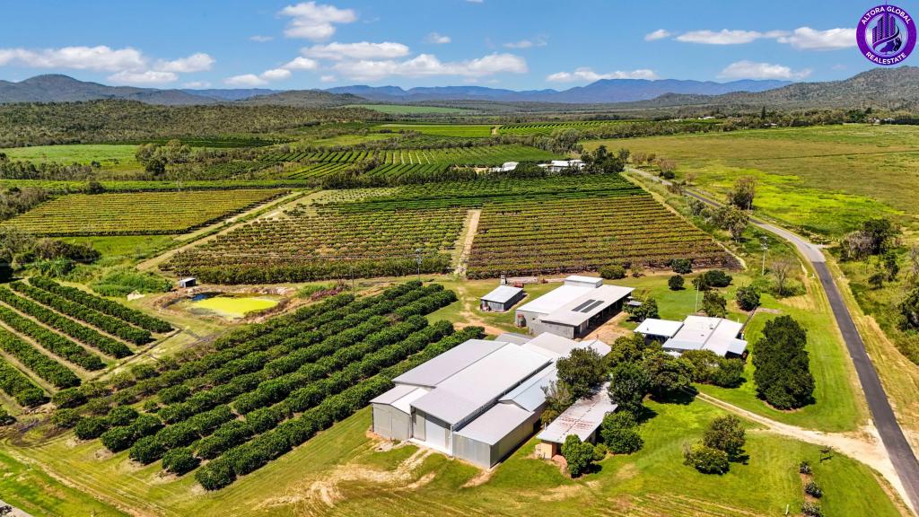 119 Mcleod Rd, Mutchilba, QLD 4872