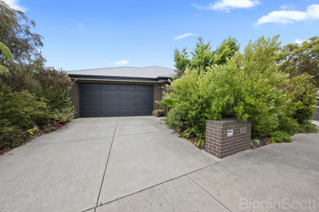 103 Oshannassy Pde, Lucas, VIC 3350