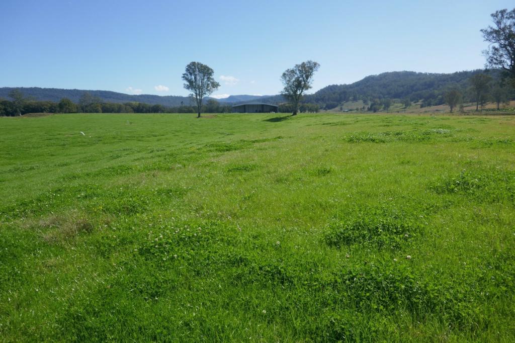 1100 Iron Pot Creek & Ghinni Ghi Rds, Kyogle, NSW 2474