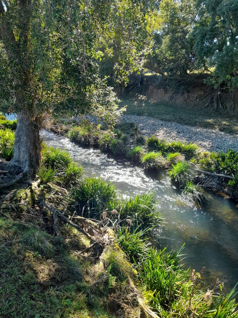 160 Upper Crystal Creek Rd, Upper Crystal Creek, NSW 2484