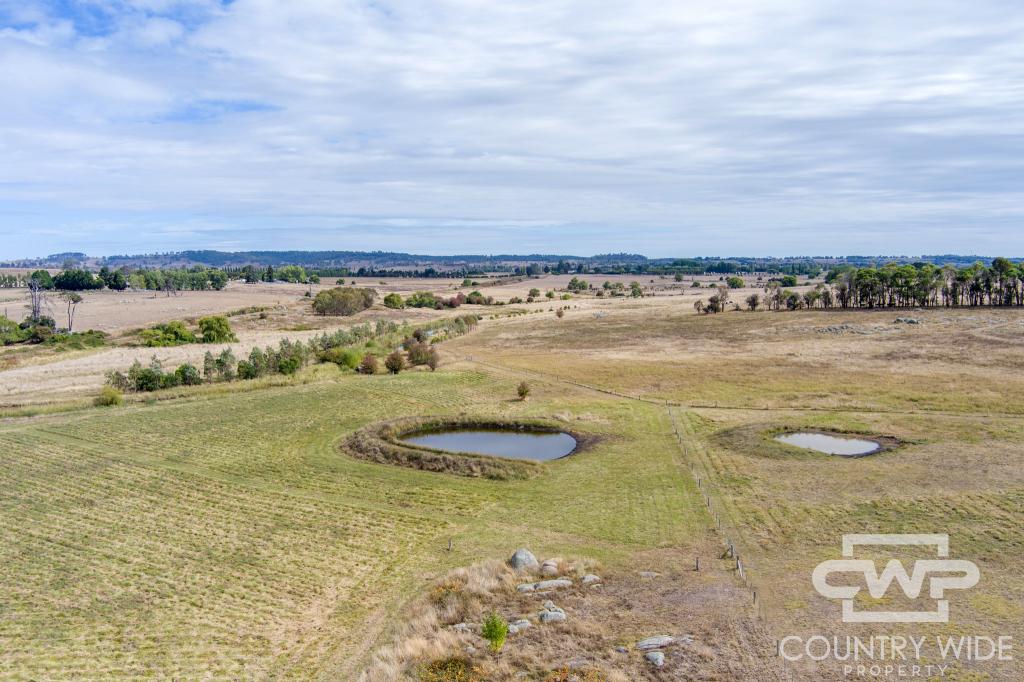 172 HAZELWOOD RD, STONEHENGE, NSW 2370
