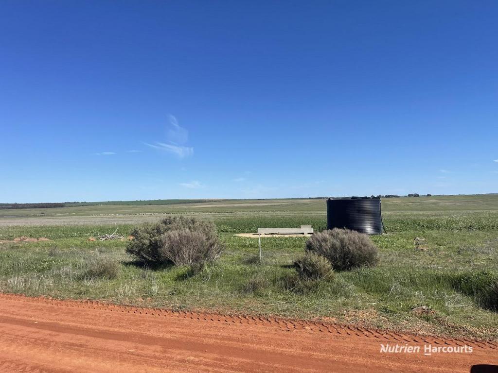 "Carot Well" Longman Rd, Watheroo, WA 6513