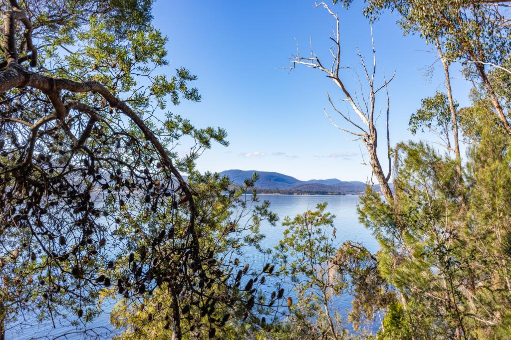 Lot 1 Esperance Coast Rd, Brooks Bay, TAS 7116