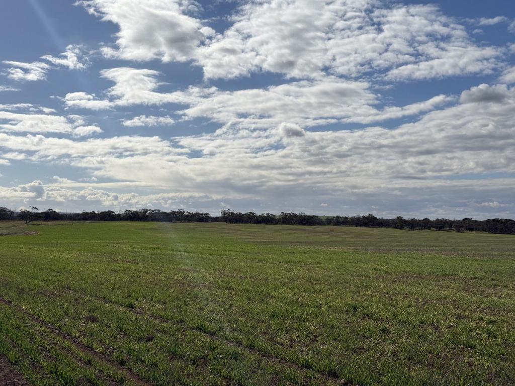 Lot 305 Goyder Rd, Neales Flat, SA 5374