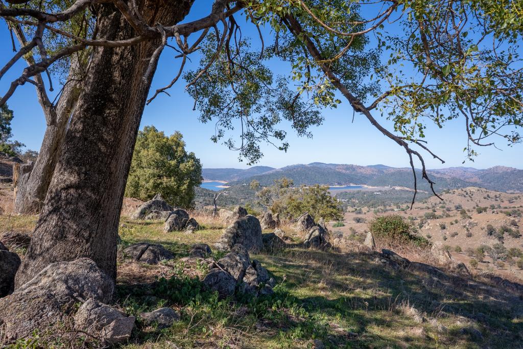2656 Reg Hailstone Way, Wyangala, NSW 2808