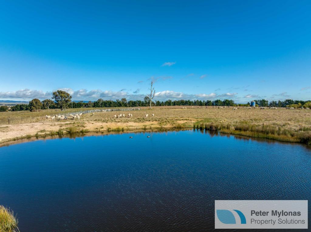 99 Shaws Creek Rd, Boxers Creek, NSW 2580