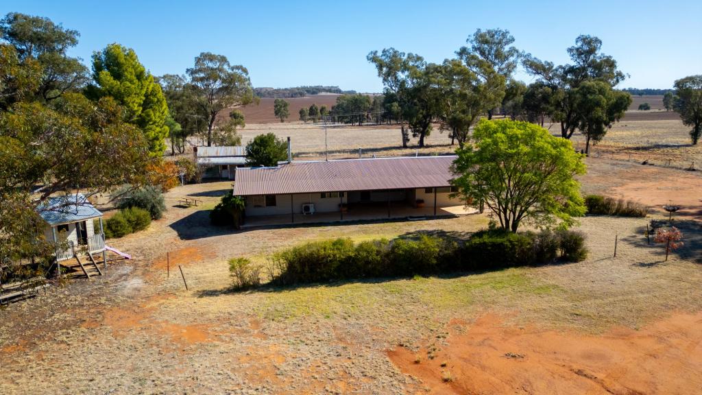 331 Bygoo Rd, Ardlethan, NSW 2665
