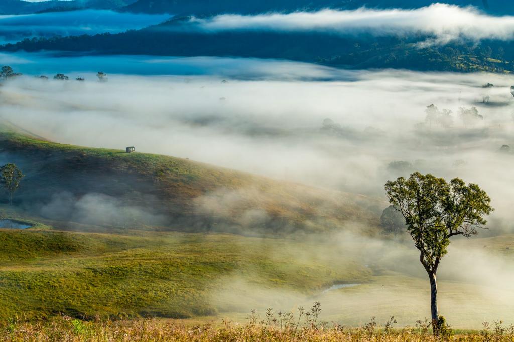 81 Kia Ora Hill Road, Bowman Farm Via, Gloucester, NSW 2422