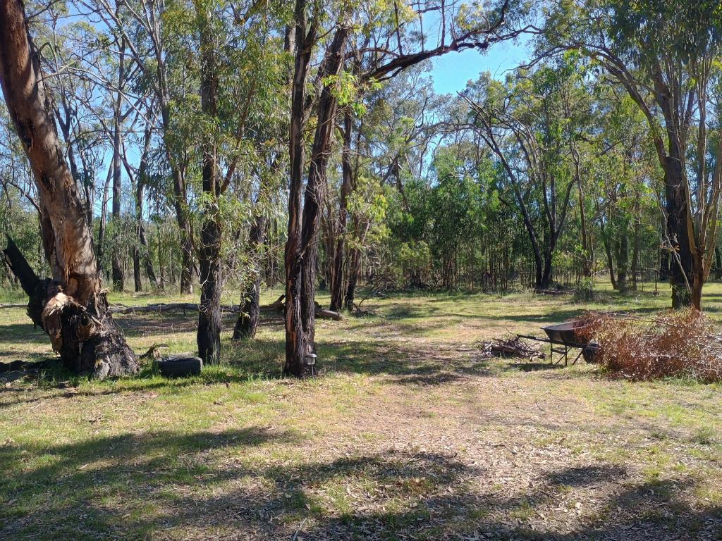 Contact Agent For Address, Coolah, NSW 2843