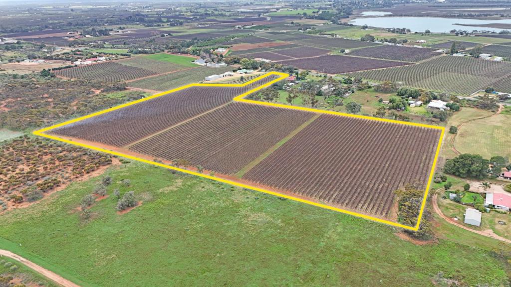 108 Winkie Rd, Glossop, SA 5344