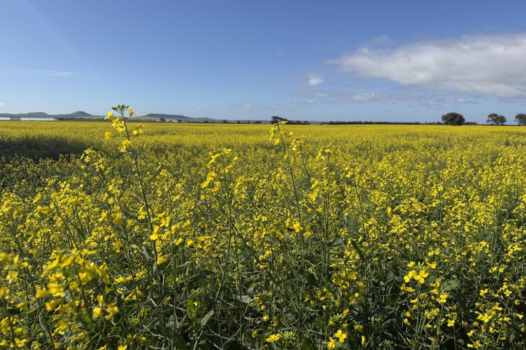 Lot 8 Edward Rd, Narngulu, WA 6532